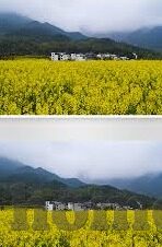 客彩网足球比分-深度剖析客彩网足球比分，数据背后的足球世界与投注智慧
