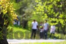 足球比分都有哪些-探秘足球比分，类型、记录与背后故事全解析